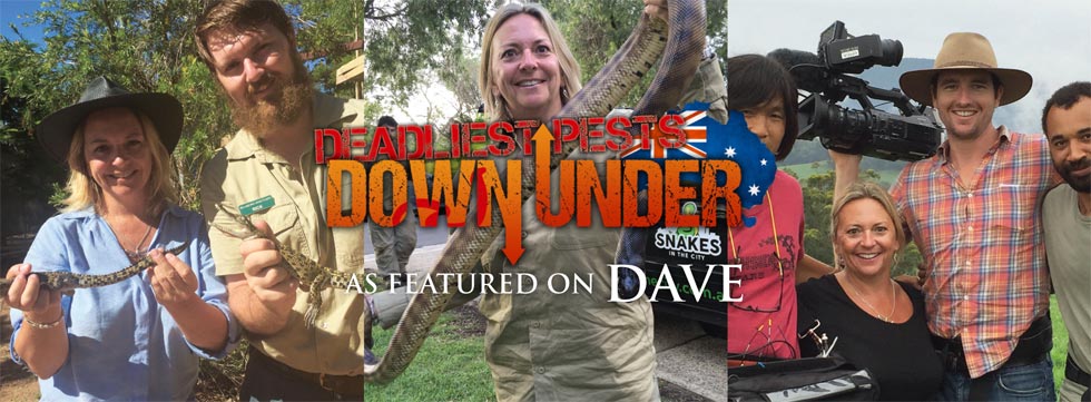 deadliest-pests-down-under